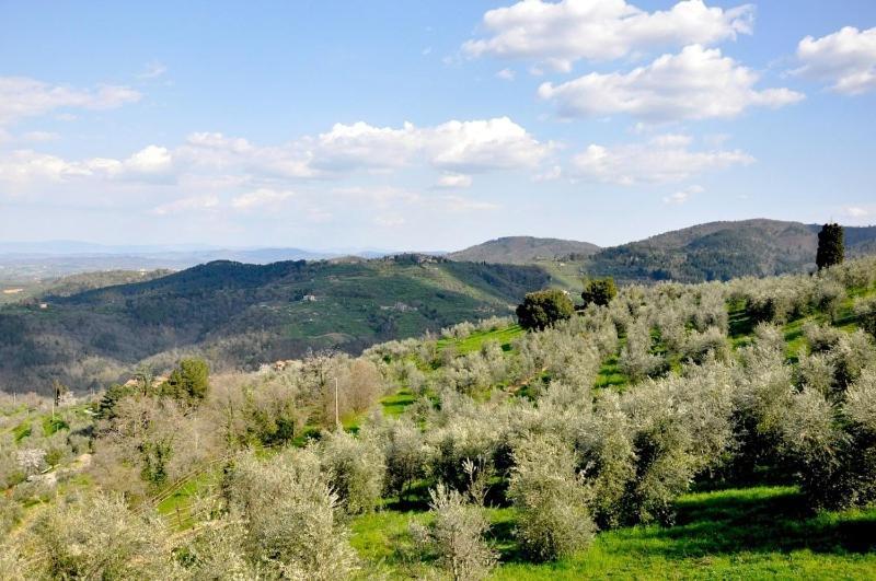 Agriturismo La Forra Cavriglia Quarto foto